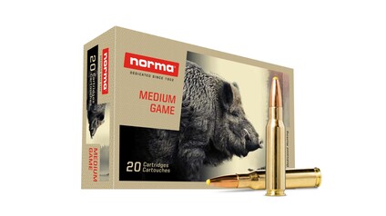 NORMA Ctg..308 WIN Plastic point 11,70 g / 180,0 gr