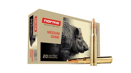 NORMA .30-06 Plastic point 11,7g/180gr