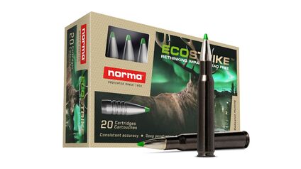 Norma Ctg. .30-06 Springfield Ecostrike Silencer 9.7g / 150 grs